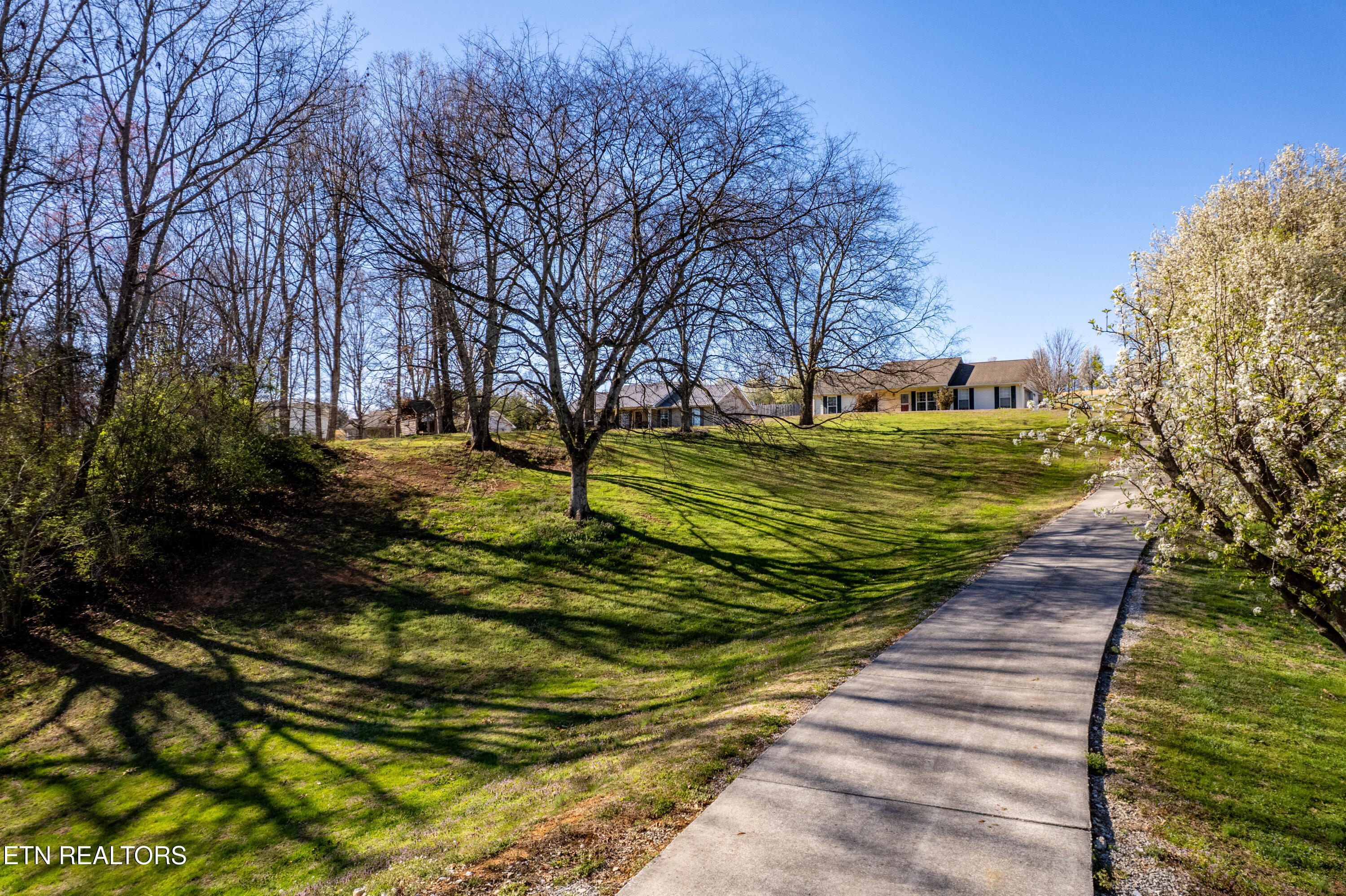 1474 Sheets Hollow Road Greenback, TN 37742 - Photo 8 of 38 1474SheetsHollowRd-41
