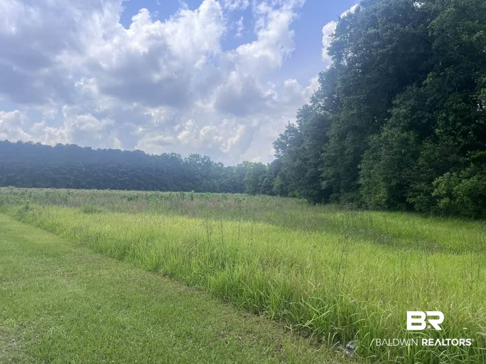 0 Gus Broughton Road Grand Bay, AL 36541 - Photo 7 of 7 Mountain view featuring a forest