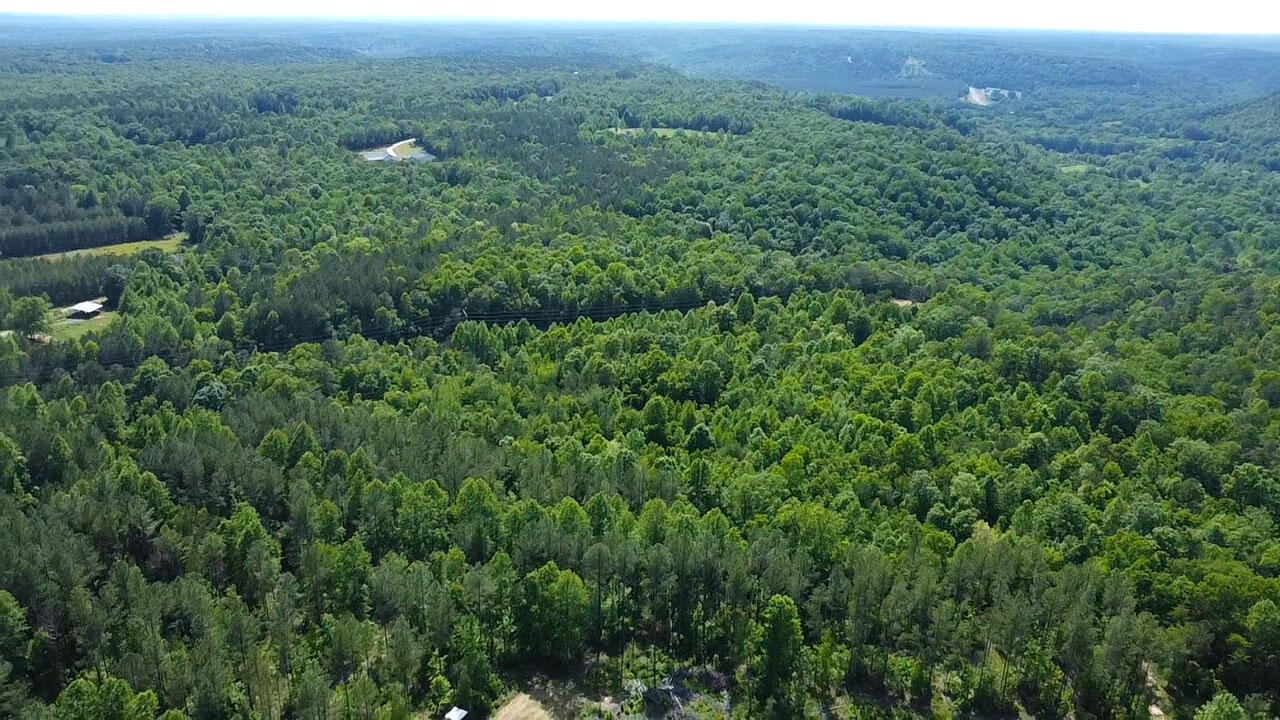 0 Co Road Bremen, AL 35033 - Photo 15 of 17 CO RD 18 8 copy