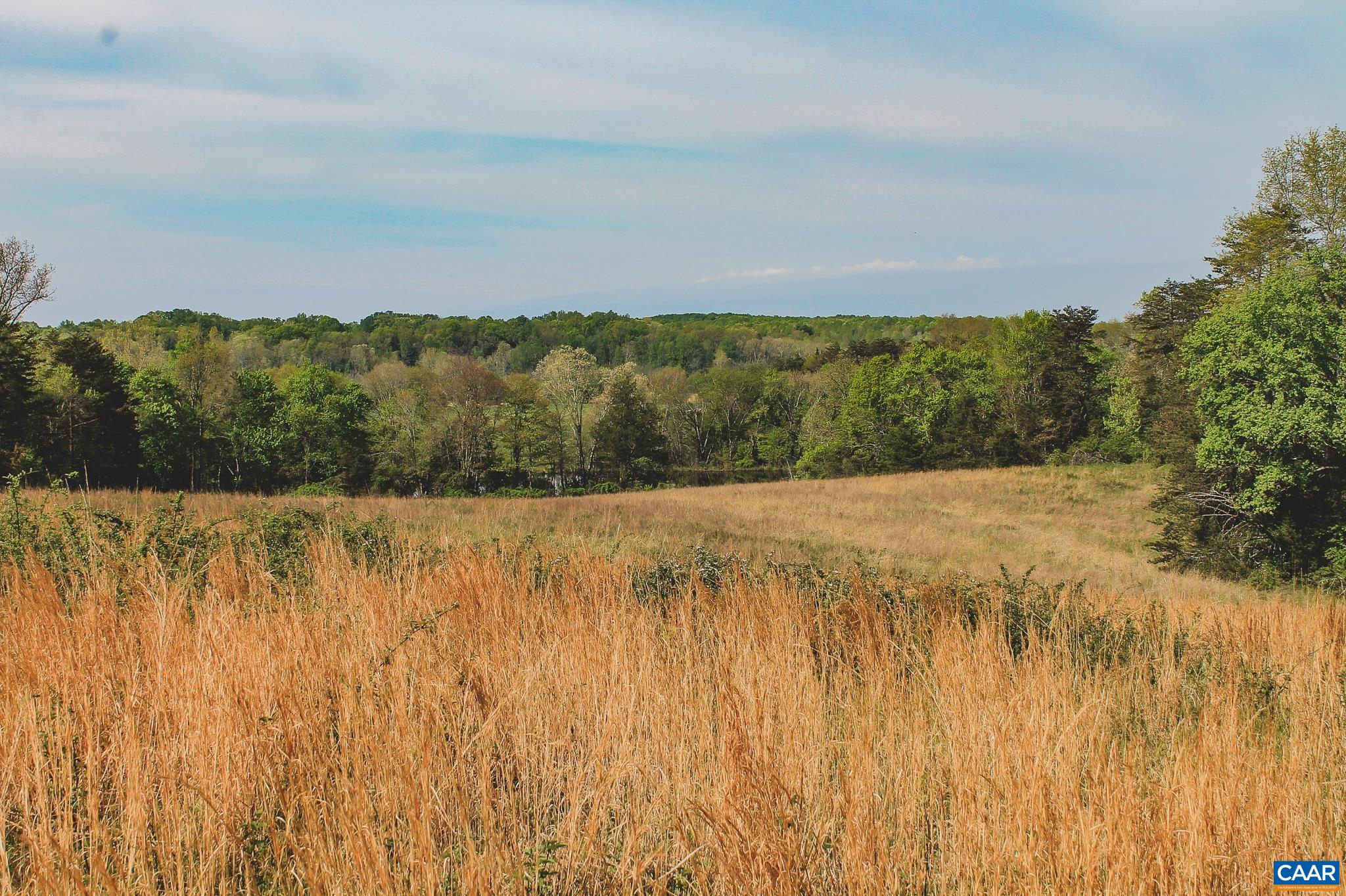 Lot 33 Thomas Ridge Lane Ruckersville, VA 22968 - Photo 25 of 41 Gallery Image 25