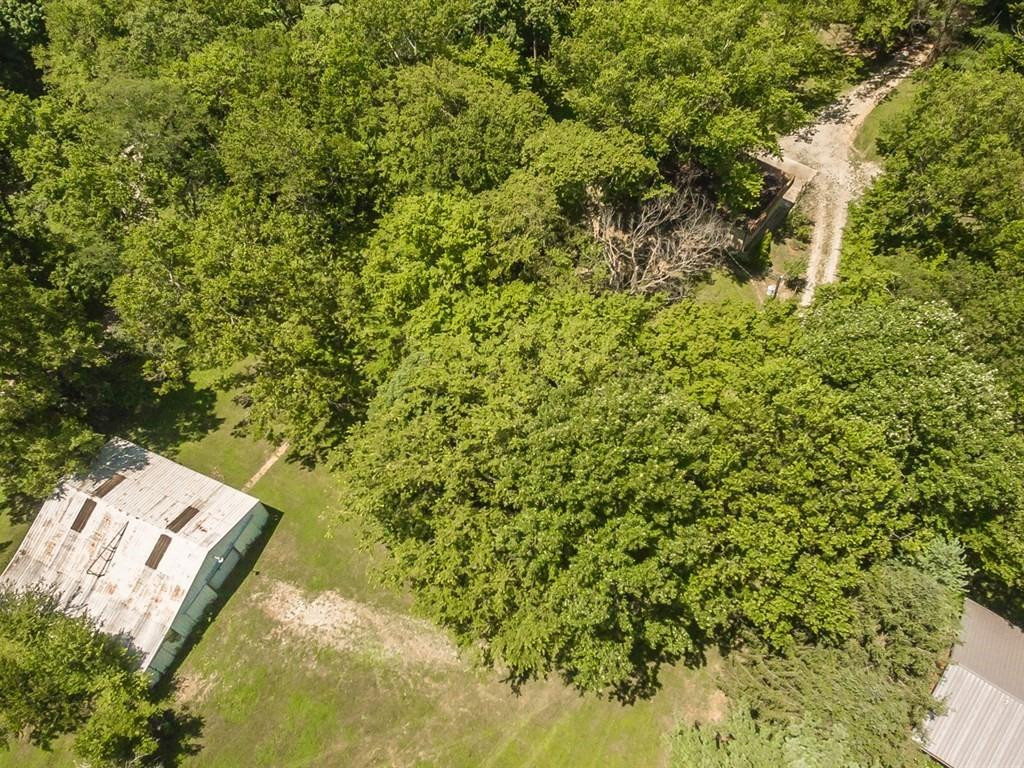 3715 Delaney Ferry Road Versailles, KY 40383 - Photo 48 of 50 Photo 48