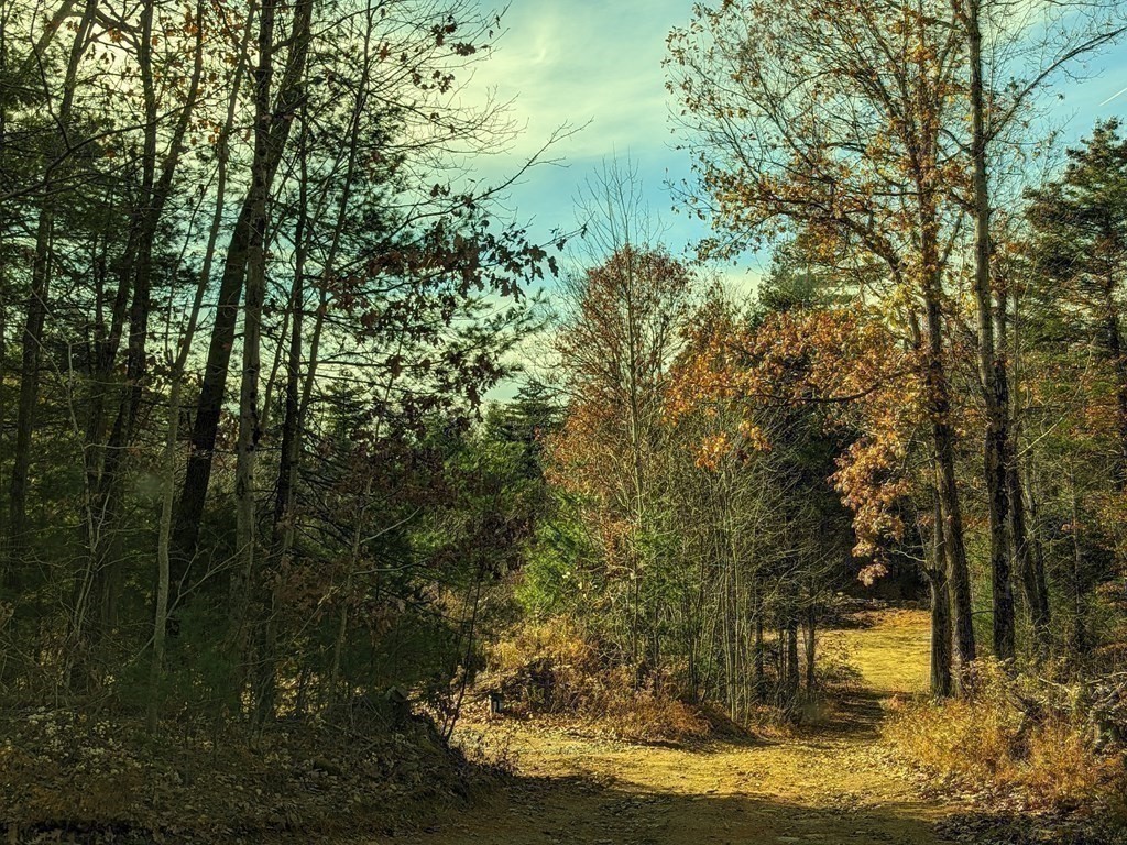514 Old County Road Holland, MA 01521 - Photo 31 of 40 a view of a garden with an trees