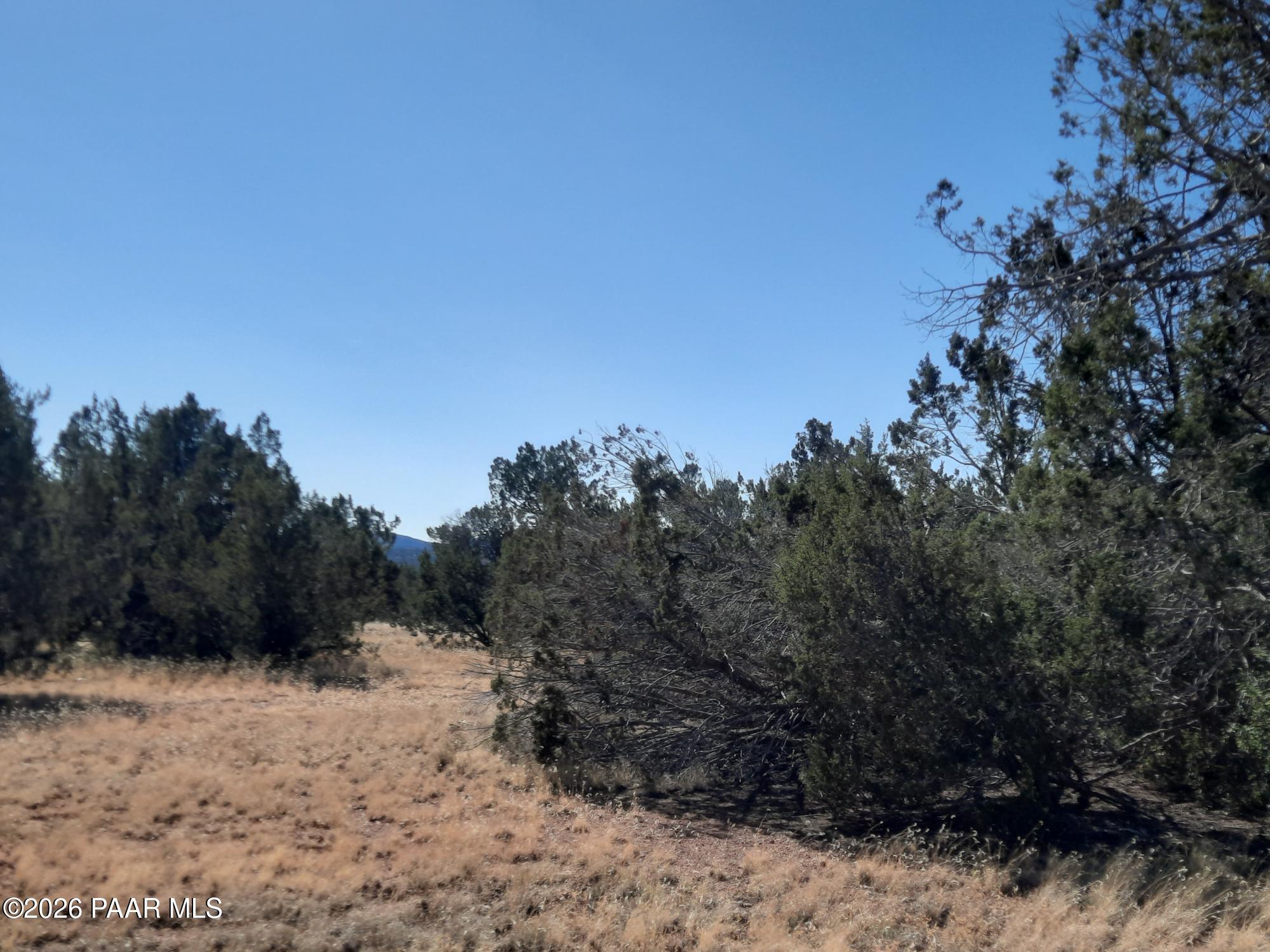 54214 Castano Road Seligman, AZ 86337 - Photo 4 of 11 20221112_112416