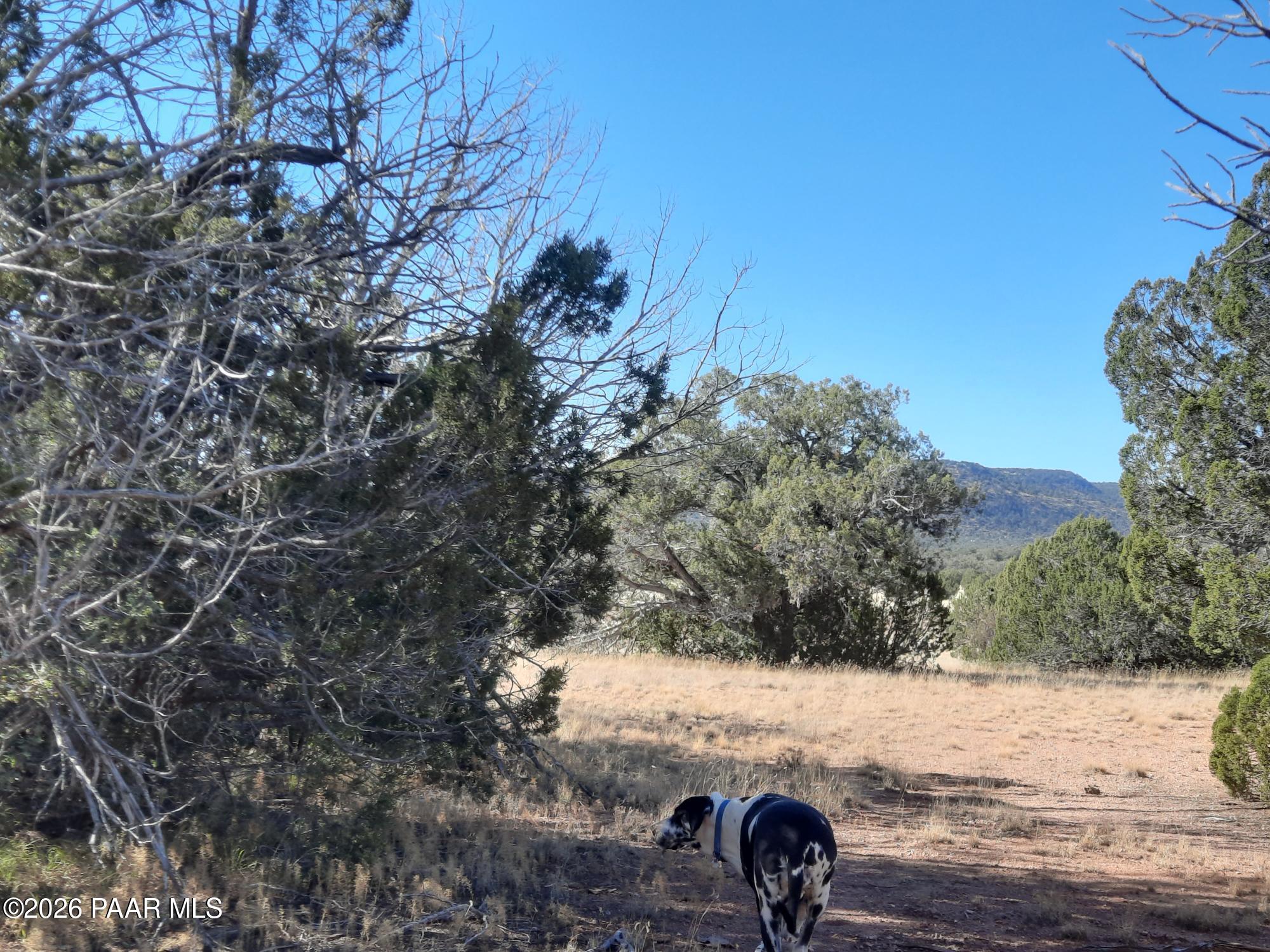 54214 Castano Road Seligman, AZ 86337 - Photo 5 of 11 20221112_112436