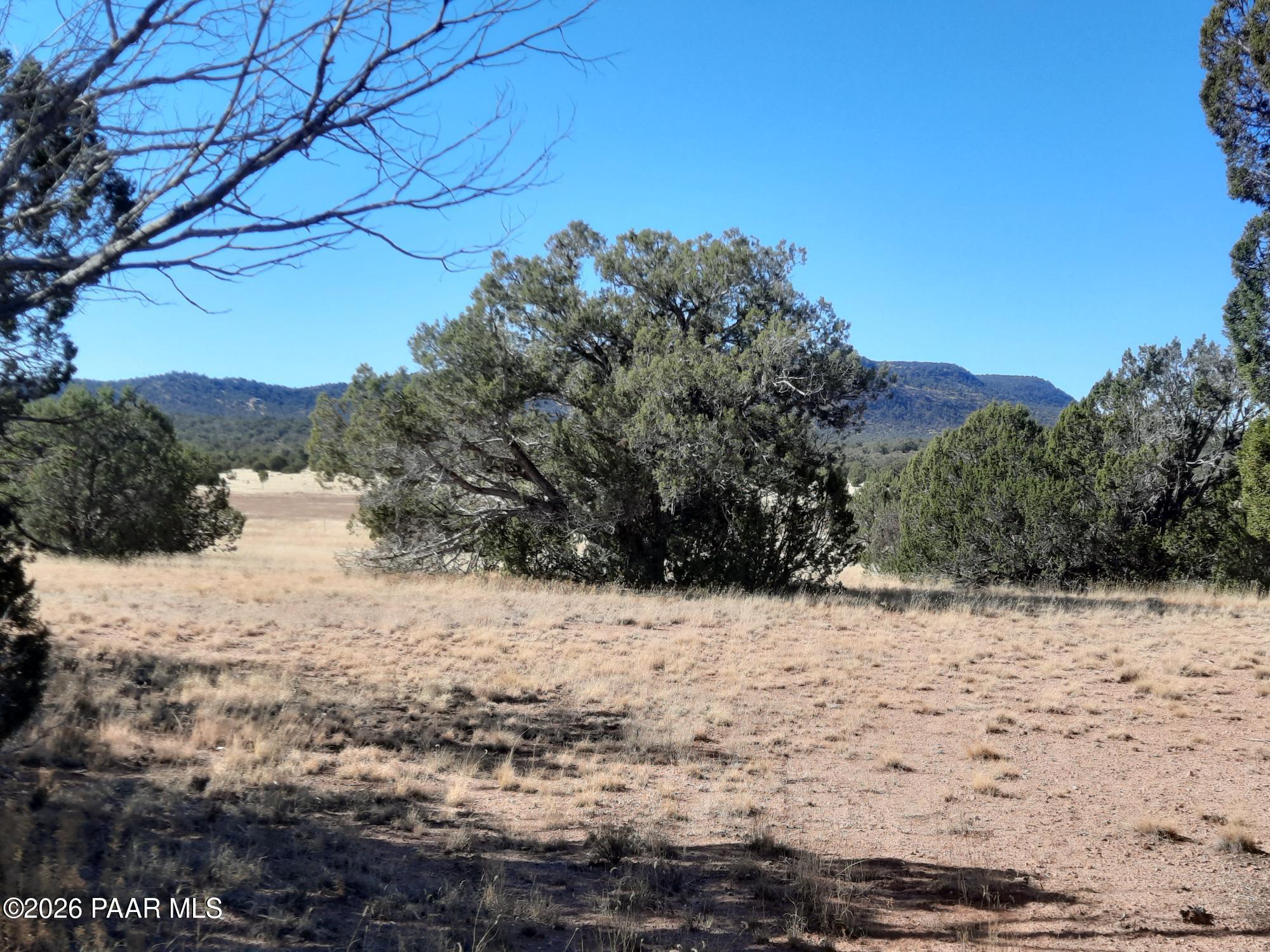 54214 Castano Road Seligman, AZ 86337 - Photo 6 of 11 20221112_112449