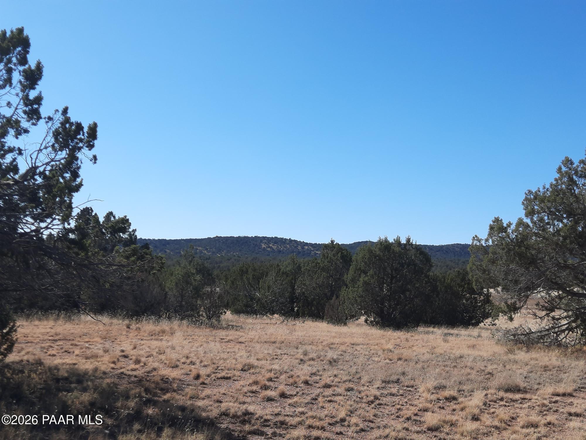 54214 Castano Road Seligman, AZ 86337 - Photo 7 of 11 20221112_112508