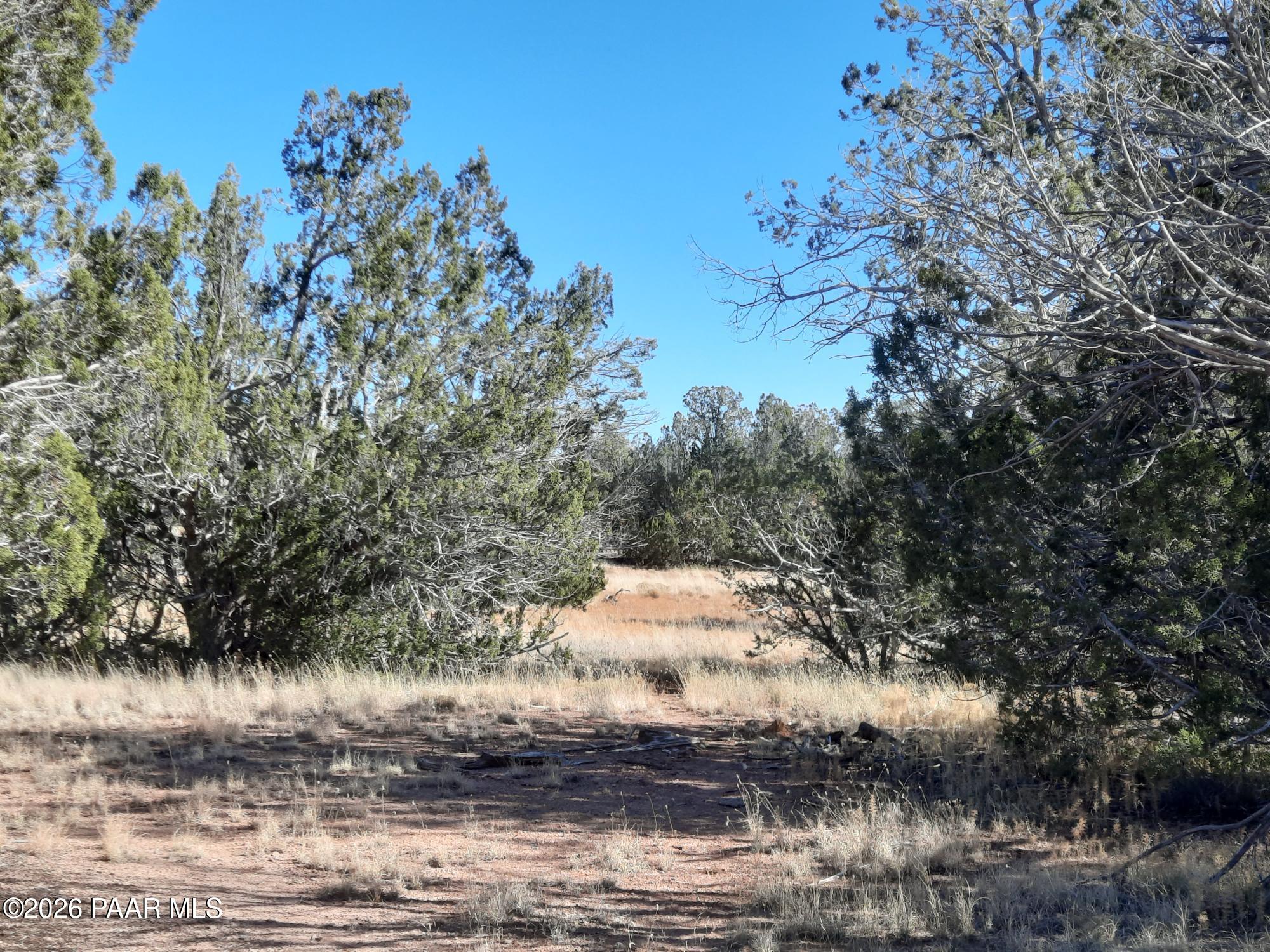 54214 Castano Road Seligman, AZ 86337 - Photo 8 of 11 20221112_112518
