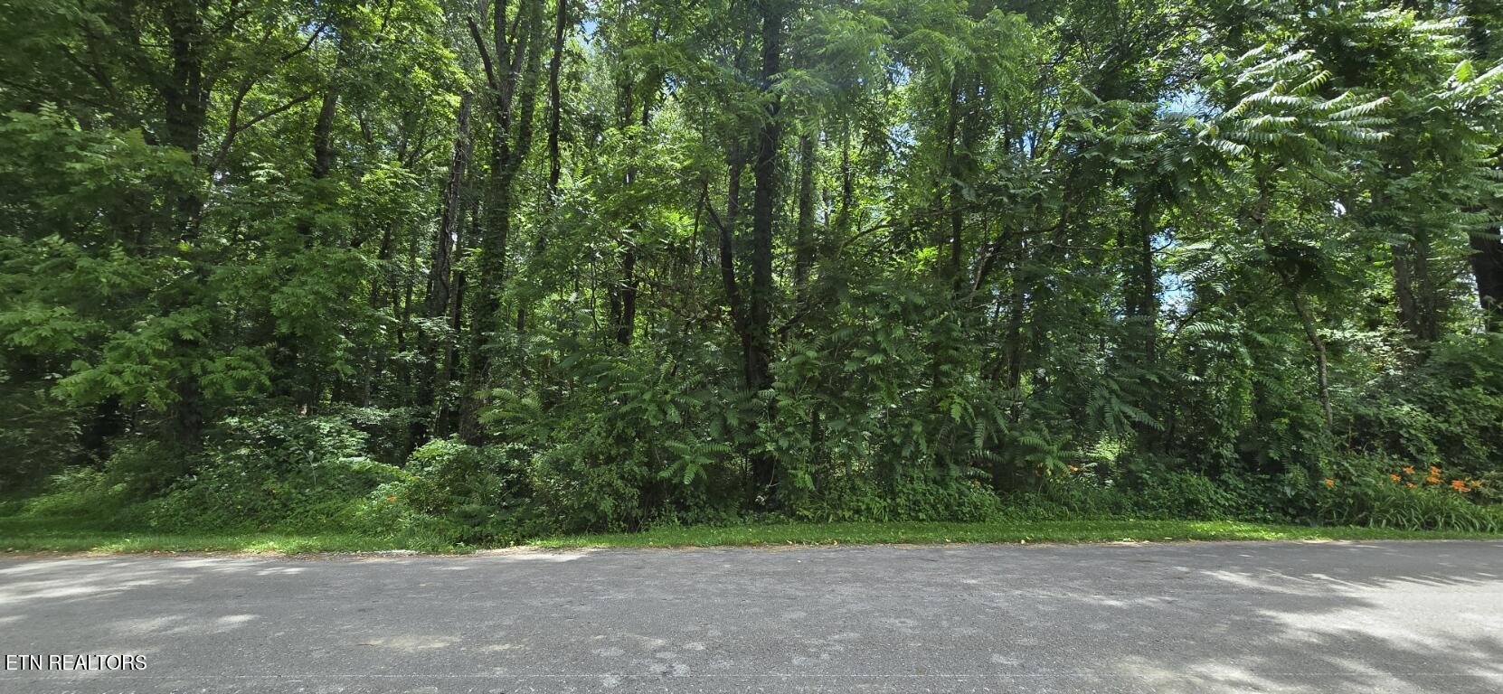 Shady Lane Oneida, TN 37841 - Photo 1 of 8 20260612_134633