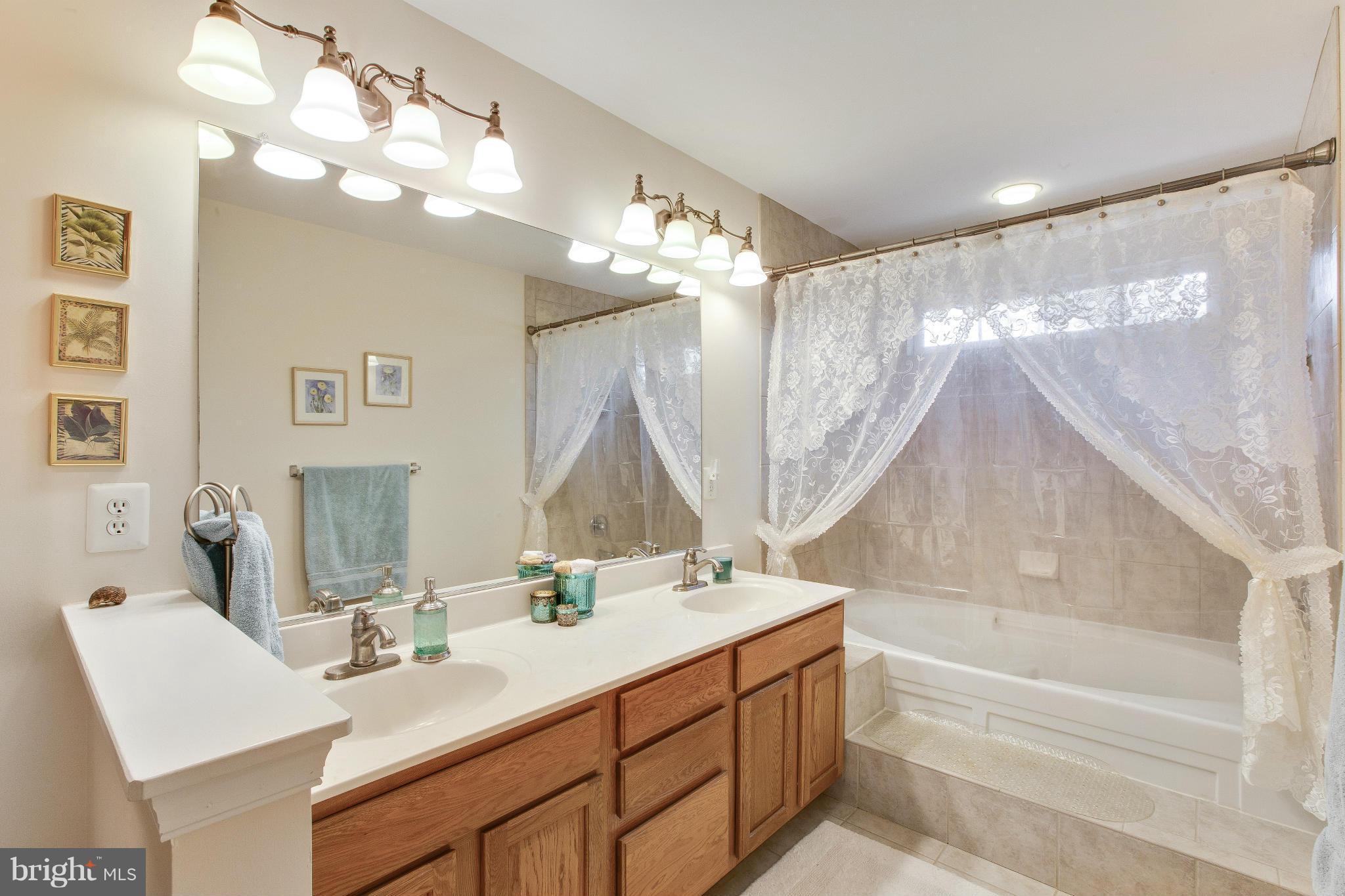 1589 Courthouse Road Catlett, VA 20119 - Photo 14 of 30 Spa Like Master Bath