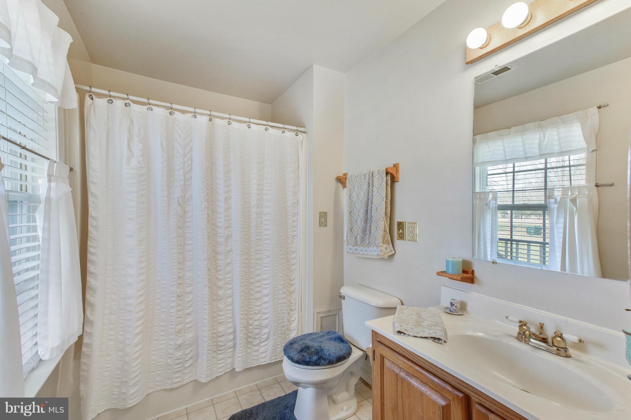 1589 Courthouse Road Catlett, VA 20119 - Photo 21 of 30 Master Bath #2
