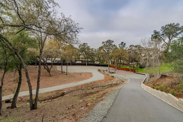 a view of a park with large trees