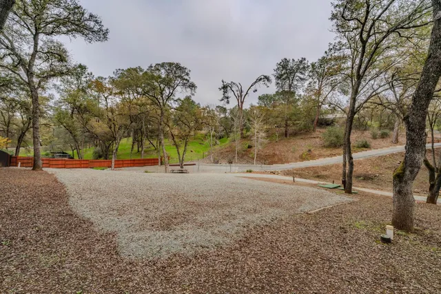 a view of a yard with a tree