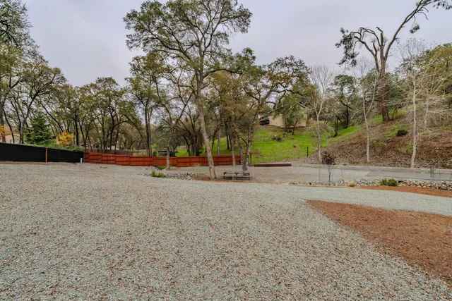 a view of a yard with trees