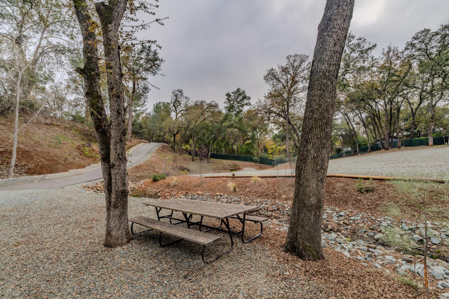 7126 Westhill Road Valley Springs, CA 95252 - Photo 16 of 30 a view of a yard with a tree
