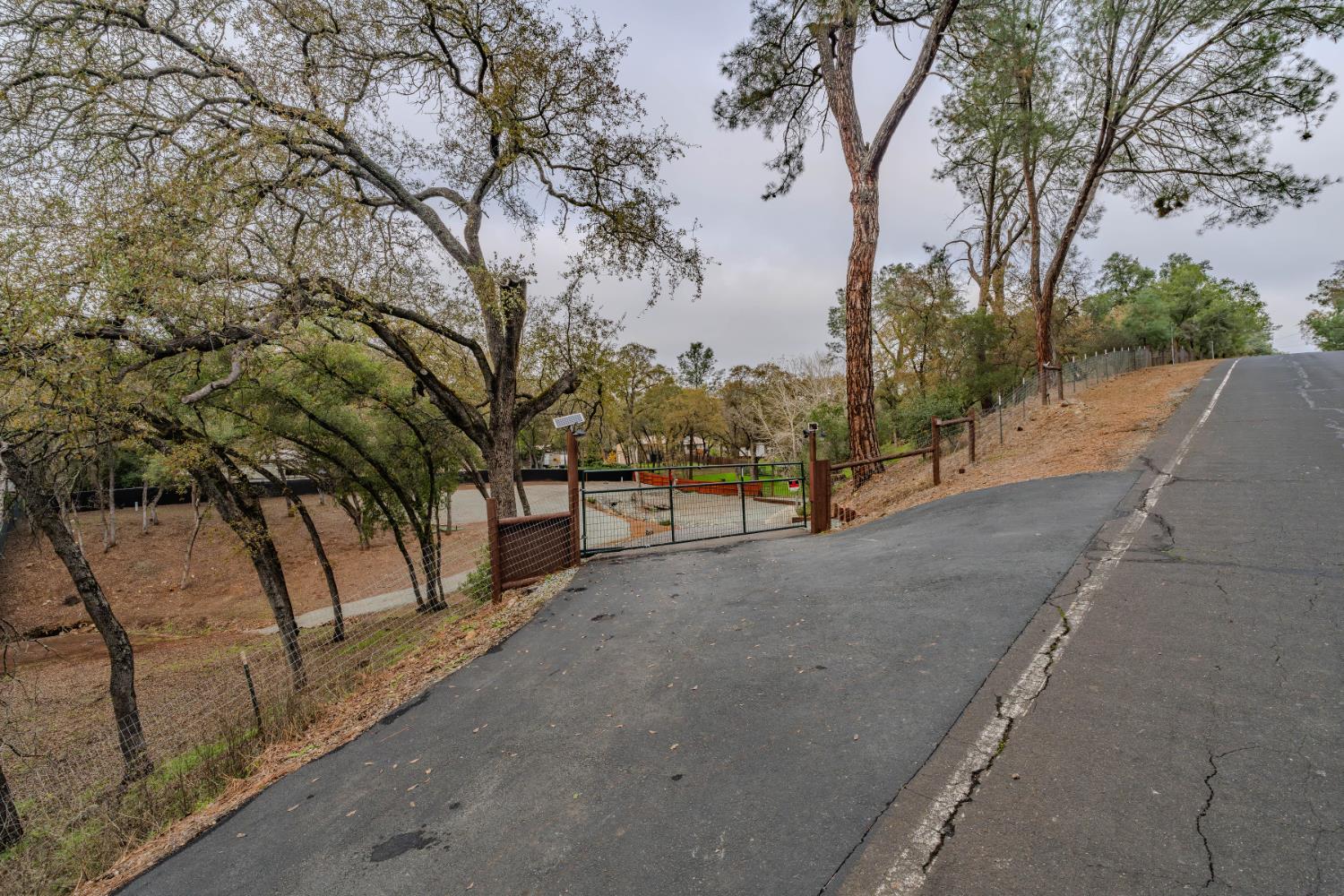7126 Westhill Road Valley Springs, CA 95252 - Photo 3 of 30 a view of road and with trees in the background