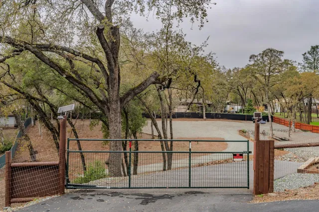 a view of park with large trees