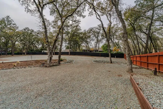 a view of a rural road with plants