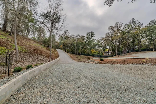 a view of road with trees in the background