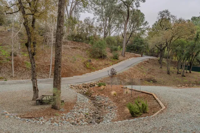 a view of a yard with large tree