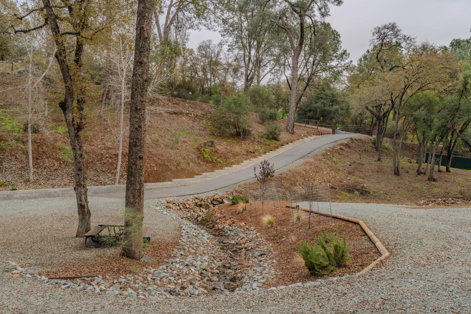 7126 Westhill Road Valley Springs, CA 95252 - Photo 8 of 30 a view of a yard with large trees