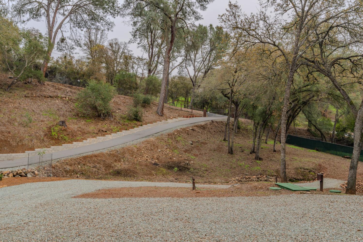 7126 Westhill Road Valley Springs, CA 95252 - Photo 9 of 30 a view of a yard with large tree