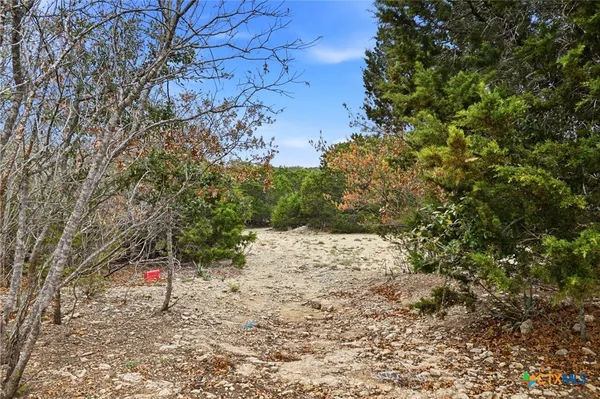 a view of top of the forest