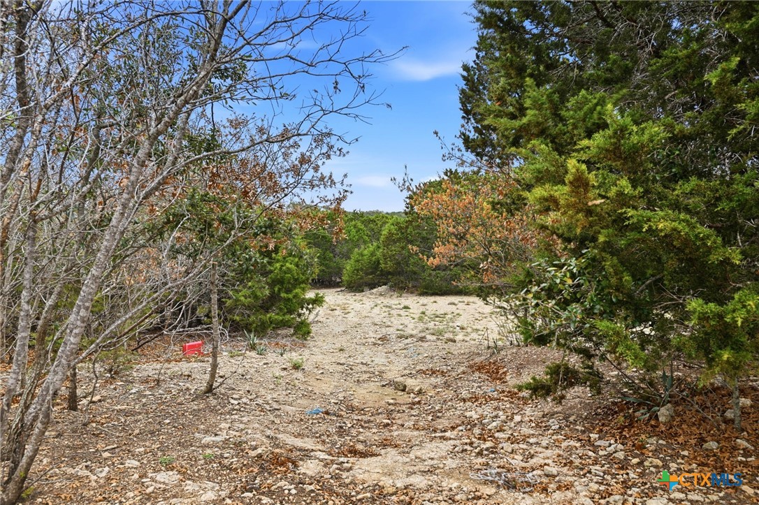 770 Private Road 3447 Kempner, TX 76539 - Photo 29 of 34 a view of top of the forest