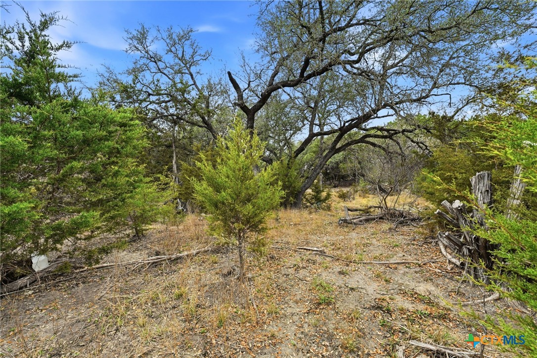 770 Private Road 3447 Kempner, TX 76539 - Photo 31 of 34 a backyard of a house with large trees