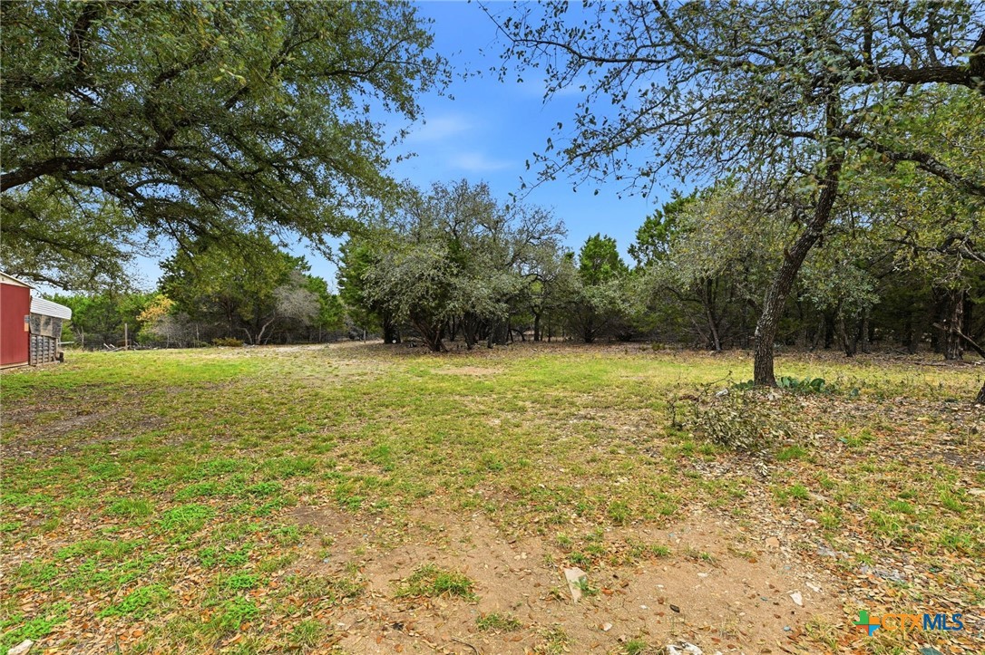 770 Private Road 3447 Kempner, TX 76539 - Photo 32 of 34 a view of a field with a tree