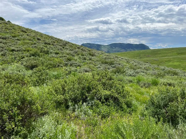 a view of a green field with lots of bushes