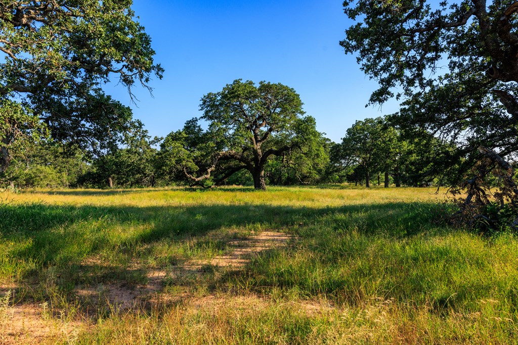 111 County Road 113 Llano, TX 78643 - Photo 26 of 30
