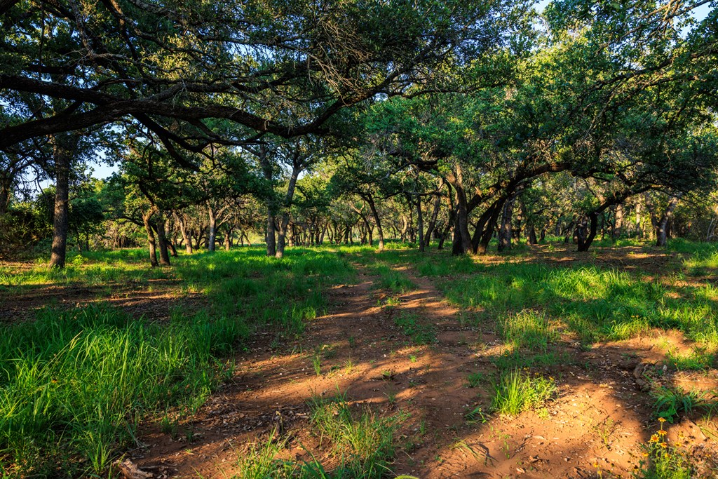 111 County Road 113 Llano, TX 78643 - Photo 29 of 30