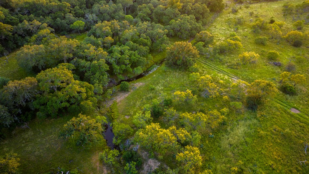 111 County Road 113 Llano, TX 78643 - Photo 10 of 30