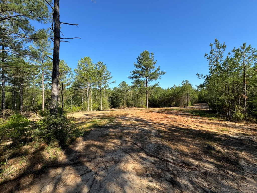 3499 Jerusalem Road Liberty, MS 39645 - Photo 14 of 28 Photo 14