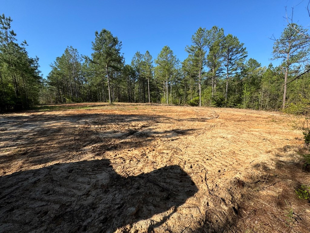 3499 Jerusalem Road Liberty, MS 39645 - Photo 15 of 28 Photo 15