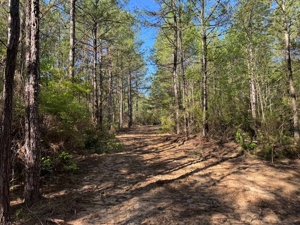 3499 Jerusalem Road Liberty, MS 39645 - Photo 17 of 28 Photo 17