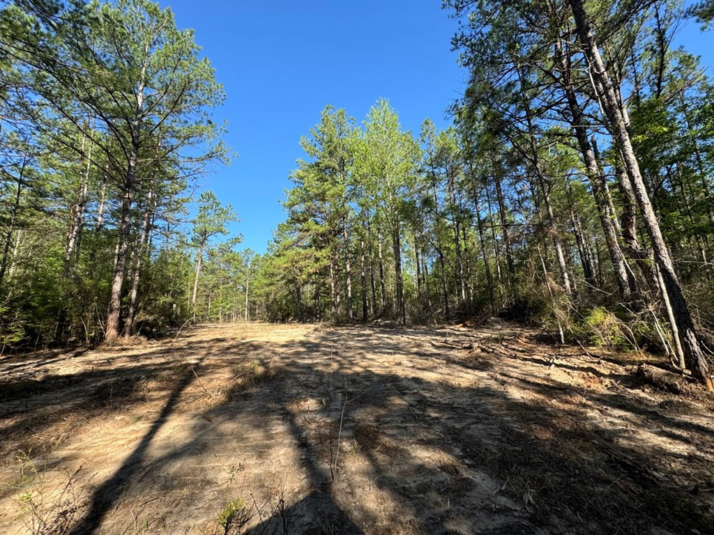 3499 Jerusalem Road Liberty, MS 39645 - Photo 18 of 28 Photo 18