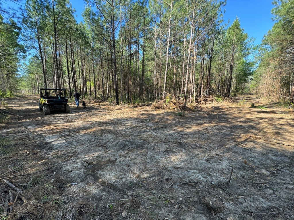 3499 Jerusalem Road Liberty, MS 39645 - Photo 20 of 28 Photo 20