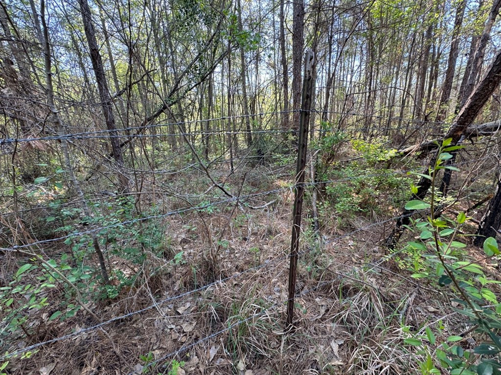 3499 Jerusalem Road Liberty, MS 39645 - Photo 21 of 28 Photo 21