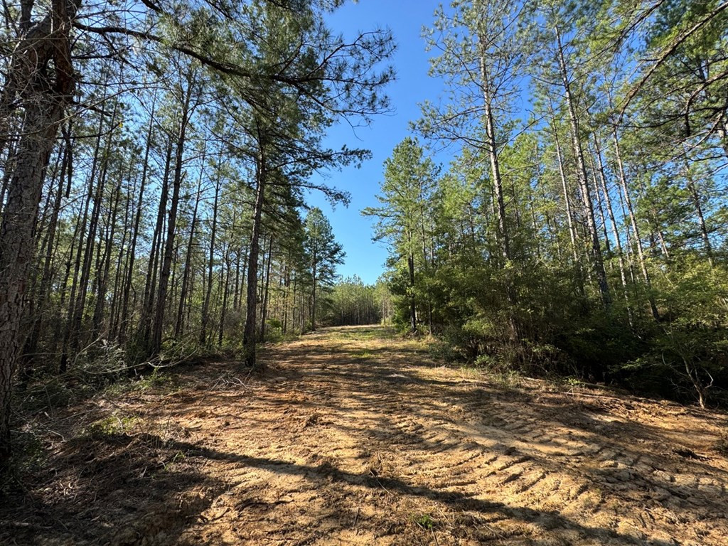 3499 Jerusalem Road Liberty, MS 39645 - Photo 23 of 28 Photo 23