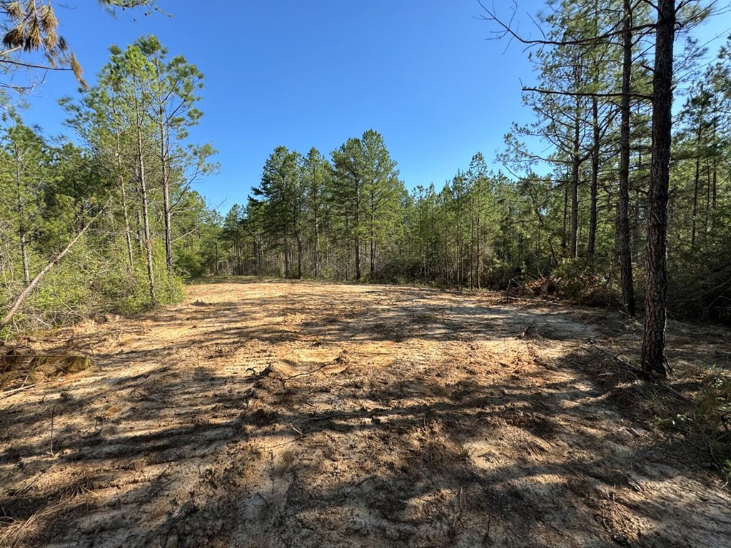 3499 Jerusalem Road Liberty, MS 39645 - Photo 24 of 28 Photo 24