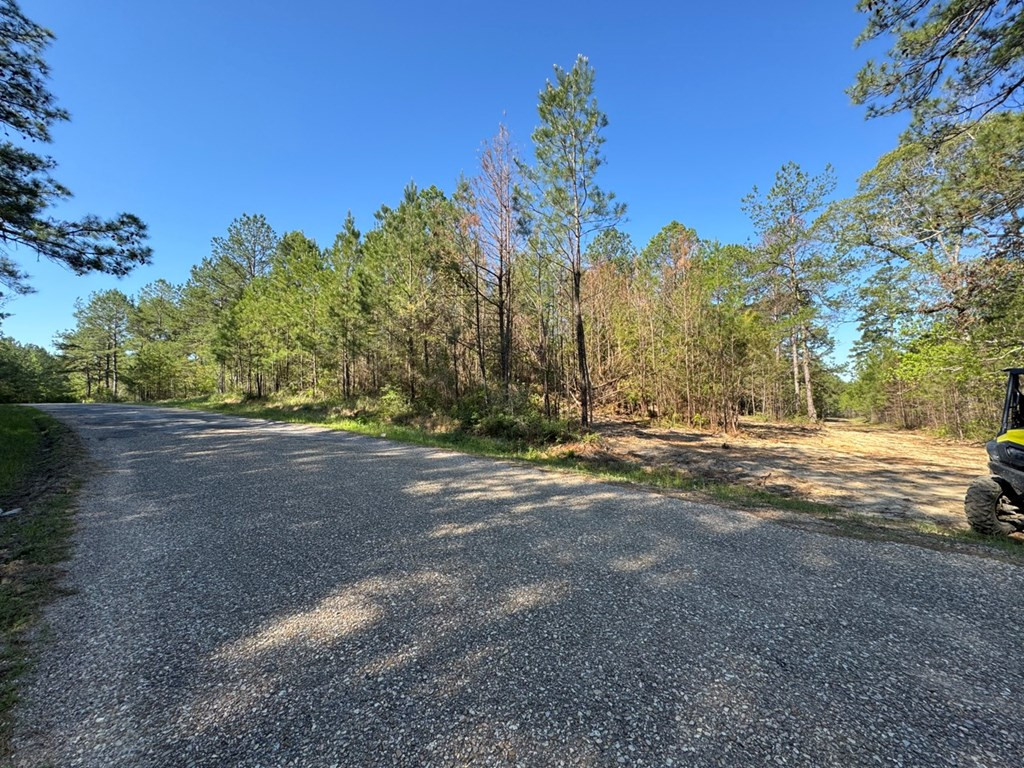 3499 Jerusalem Road Liberty, MS 39645 - Photo 25 of 28 Photo 25