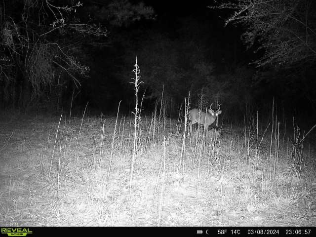 3499 Jerusalem Road Liberty, MS 39645 - Photo 26 of 28 Photo 26