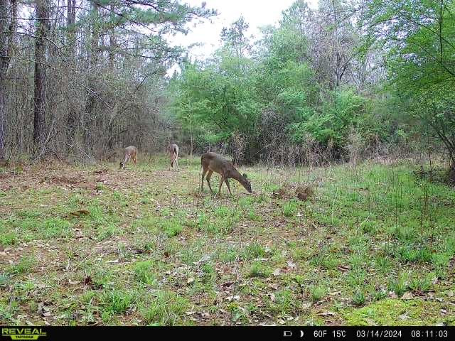 3499 Jerusalem Road Liberty, MS 39645 - Photo 27 of 28 Photo 27