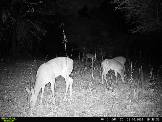 3499 Jerusalem Road Liberty, MS 39645 - Photo 28 of 28 Photo 28