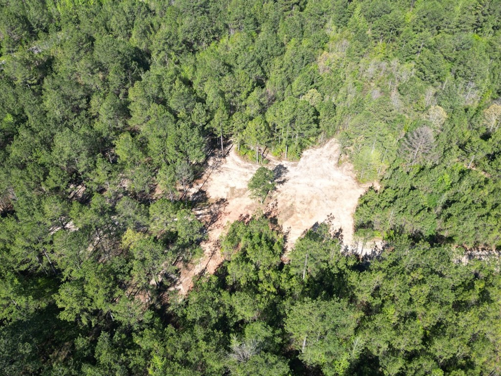 3499 Jerusalem Road Liberty, MS 39645 - Photo 8 of 28 Photo 8