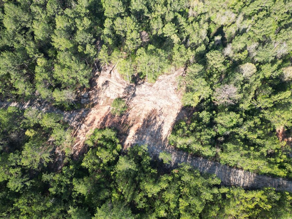 3499 Jerusalem Road Liberty, MS 39645 - Photo 9 of 28 Photo 9