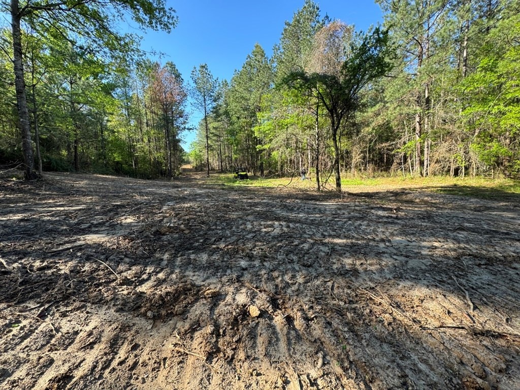 3499 Jerusalem Road Liberty, MS 39645 - Photo 10 of 28 Photo 10