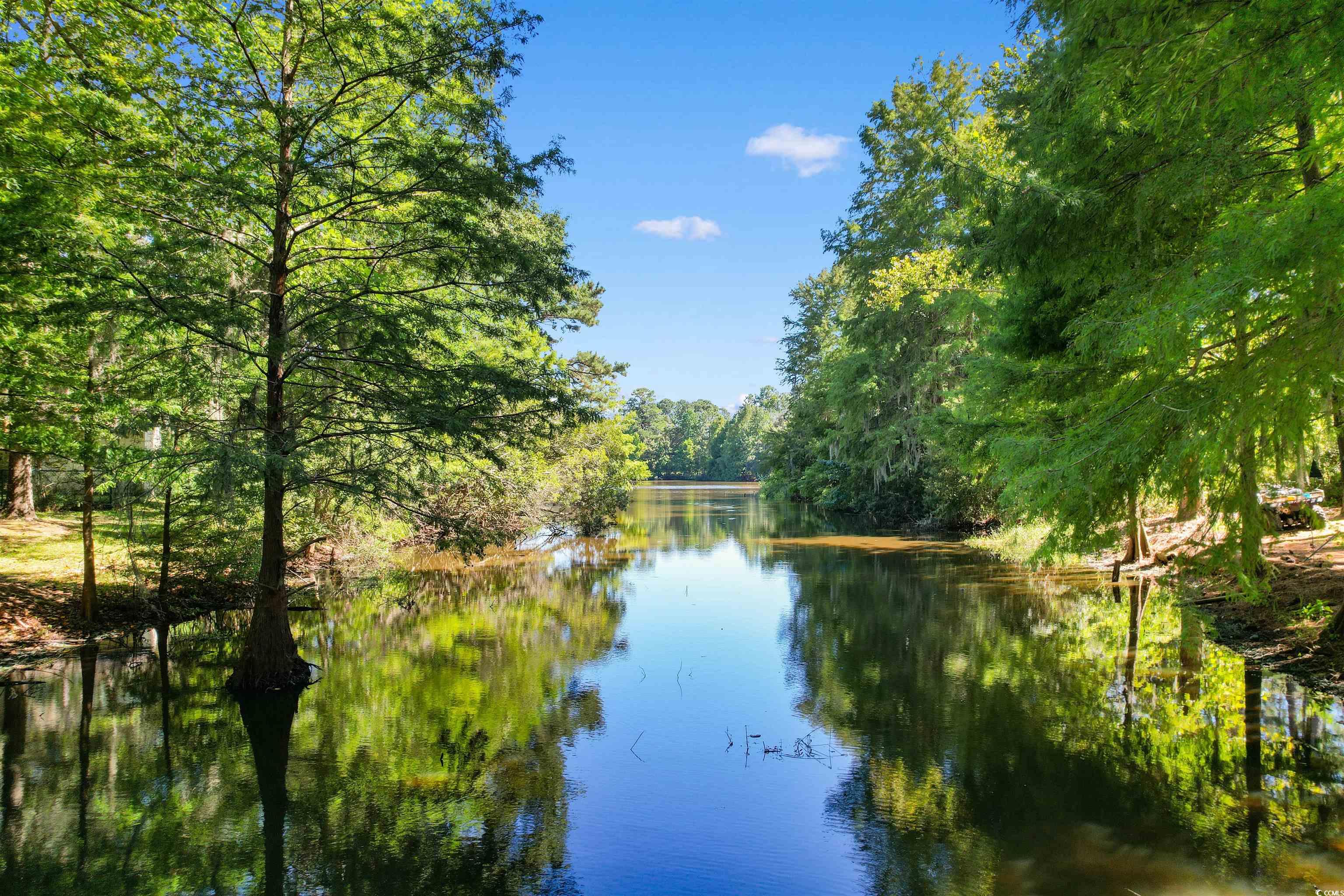814 2nd Avenue Georgetown, SC 29440 - Photo 30 of 39 View of grassy yard with a wooden deck and view of wooded area