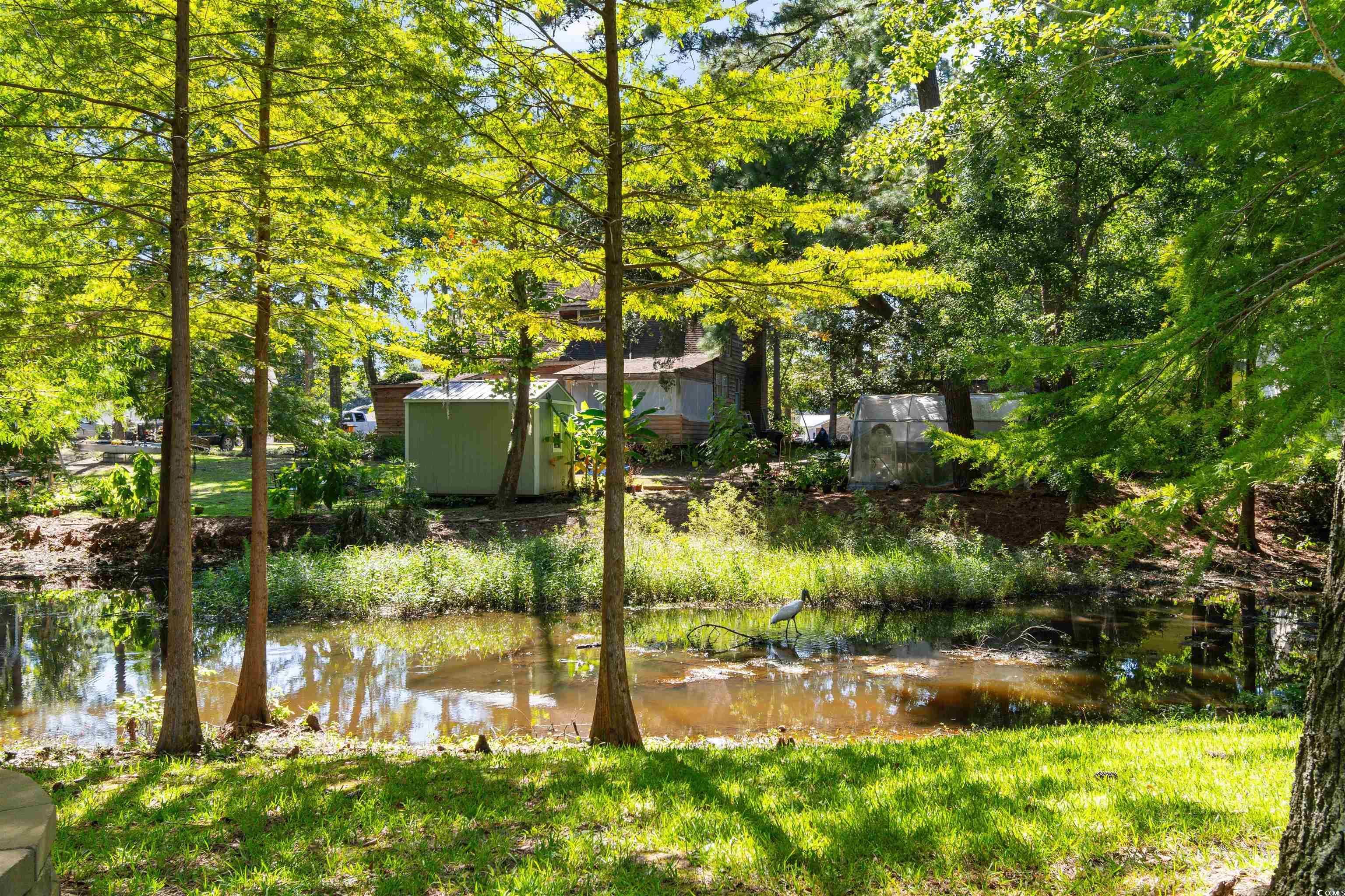814 2nd Avenue Georgetown, SC 29440 - Photo 34 of 39 View of green lawn with a water view and view of scattered trees